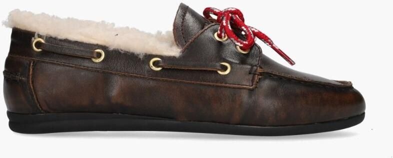 Toral Nahua Donkerbruin