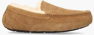 UGG Ascot Chestnut Herenpantoffels