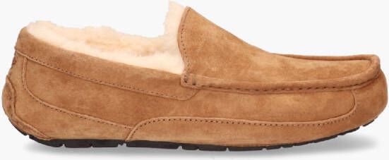 UGG Ascot Chestnut Herenpantoffels