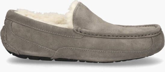 Ugg Ascot Grey s