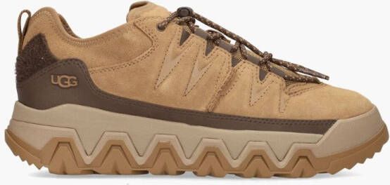 Ugg Captrail Low Chestnut