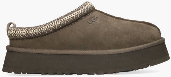 Ugg Tazz 1122553 MLSS molasses Bruin