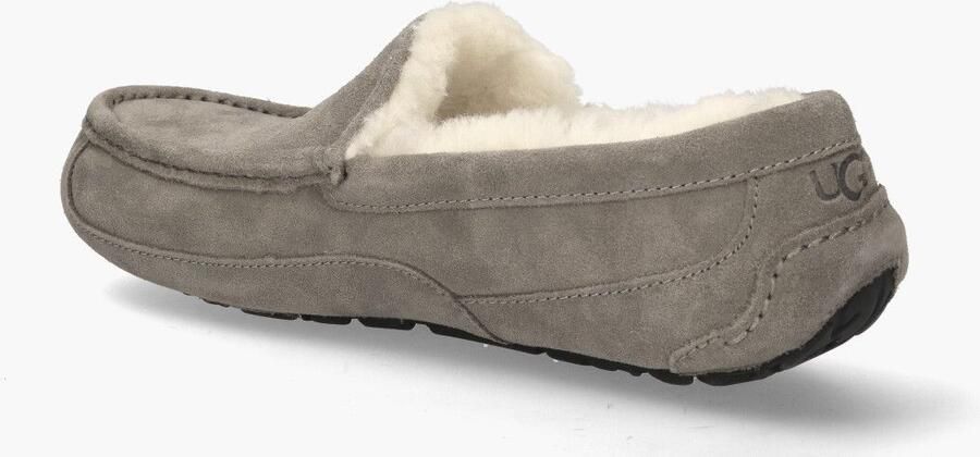 Ugg Ascot Pantoffels voor Heren in Grey | Suede - Foto 2