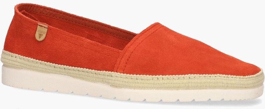 Verbenas Fun Noa Nucleo Oranje