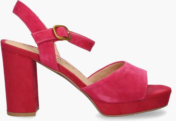 Vivian ray Romani Roze