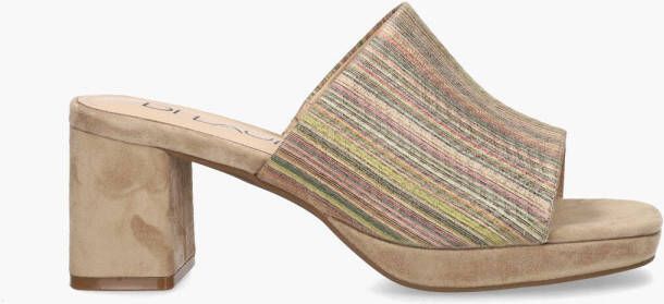 Vivian ray Toria Beige Multicolor