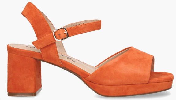 Vivian ray Tylina Oranje