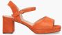 Di lauro Vivian Ray Tylina Oranje - Thumbnail 1