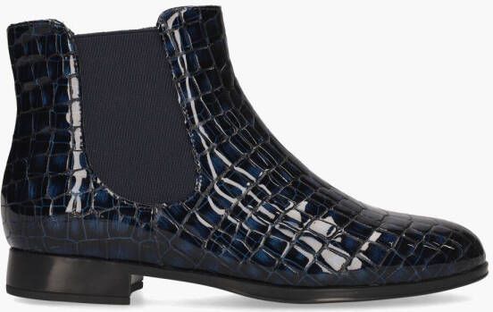 Di lauro Vivian Ray Valencia Donkerblauw