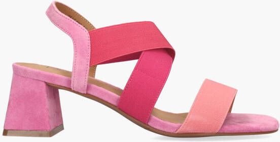 Vivian ray Widy Roze