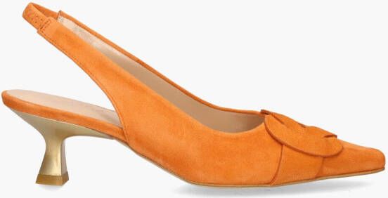 Zinda 1835 Oranje