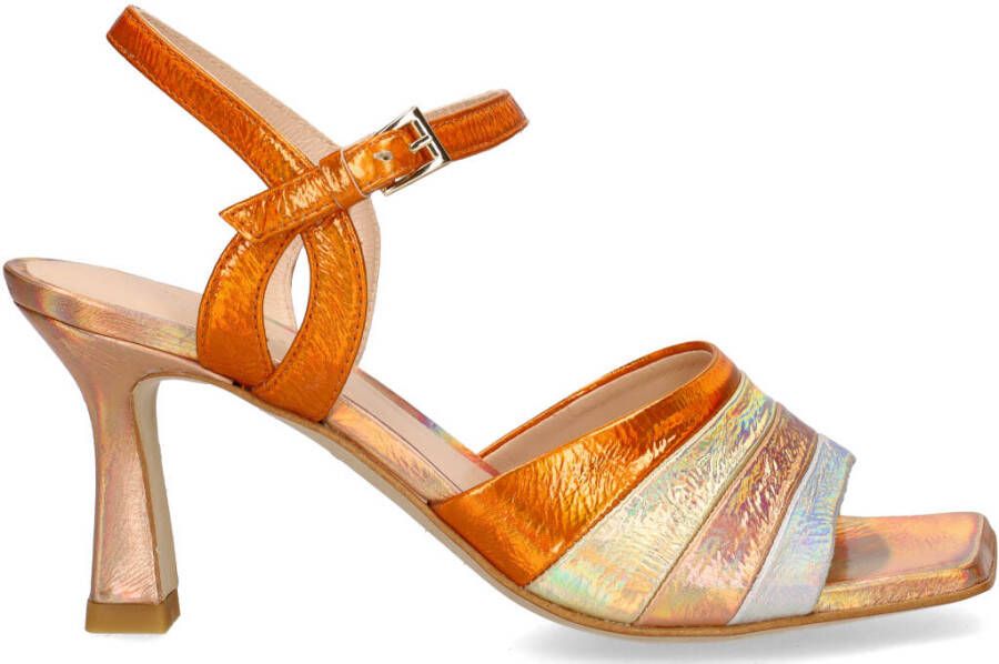 Zinda 2176 Multicolor