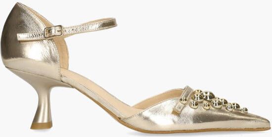 Zinda 3097 Goud