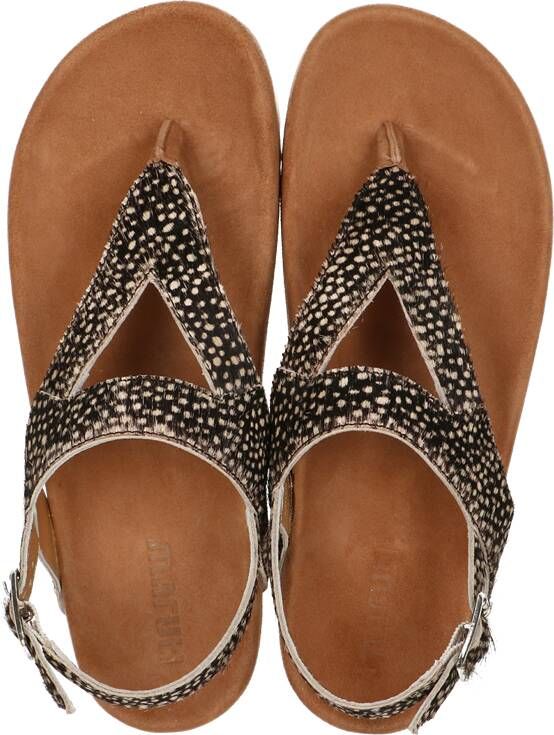 Van dalen sandalen online
