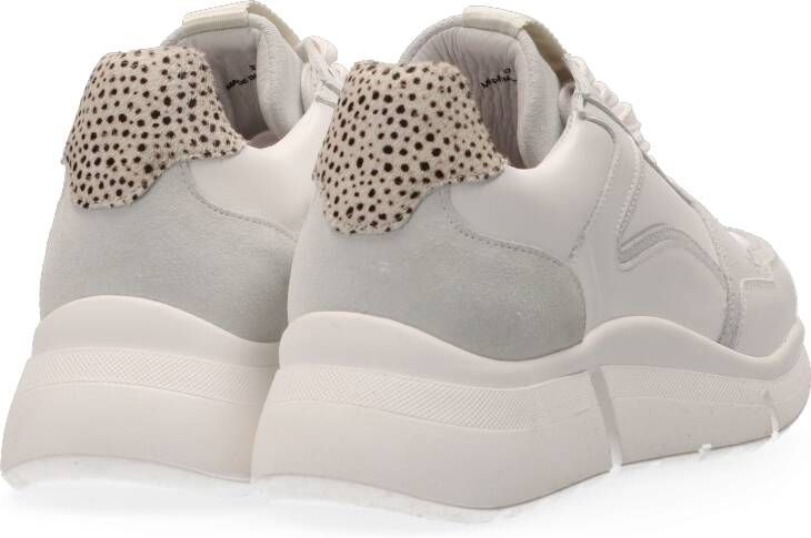 Maruti Cody Sneakers Wit
