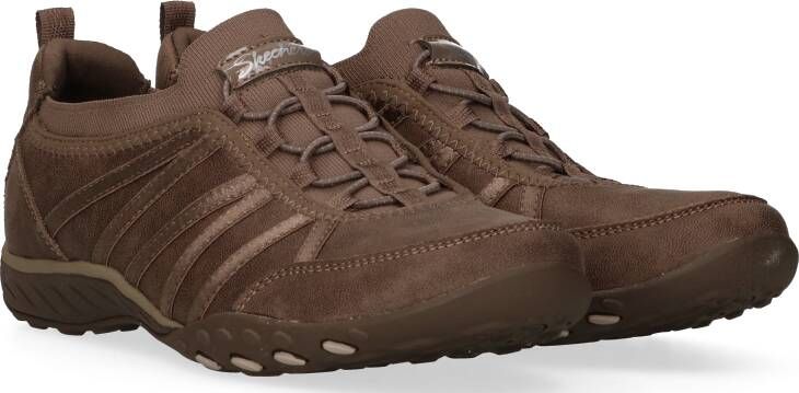 Van dalen skechers best sale
