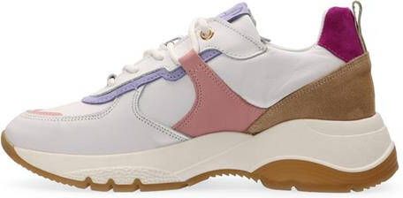 Van Dalen Monique Sneaker Pretty Purple