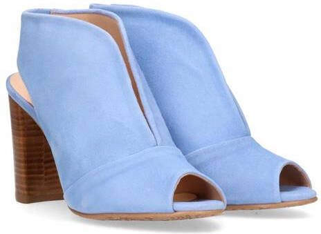 Van Dalen Pump Suede