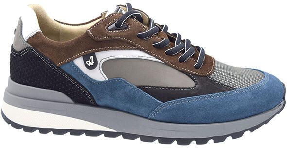 Australian Sparrow blauw