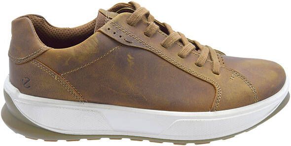 Ecco Byway bruin