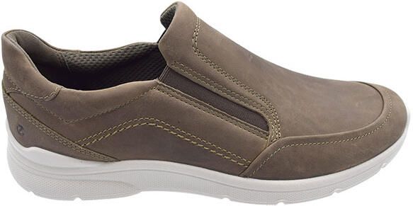 Ecco Irving bruin