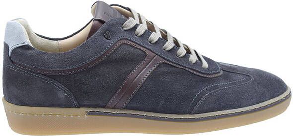 Van bommel Bora H grijs