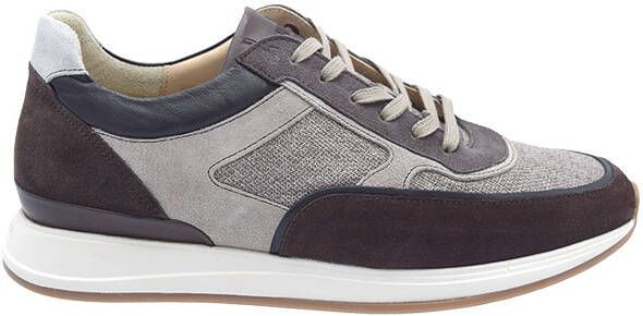 Van bommel Libra taupe