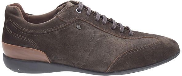 Van bommel Senna H bruin