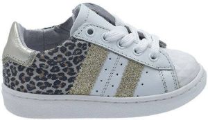Gattino G1261 wit