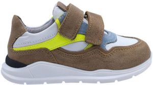 Gattino G1356 taupe