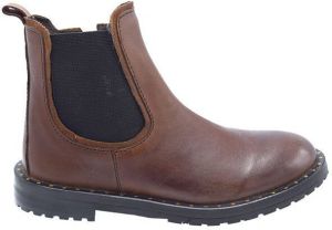 Gattino G1549 bruin