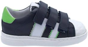 Gattino G1611
