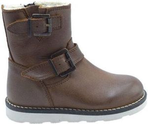 Gattino G2442 bruin