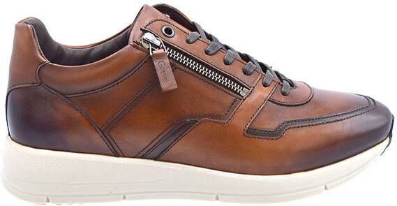 Greve 3284.09 Walker K bruin