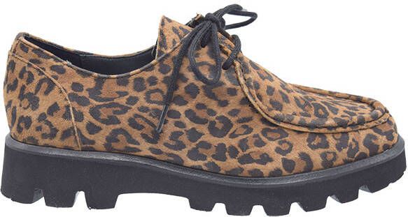 Sioux Meredira H bruin