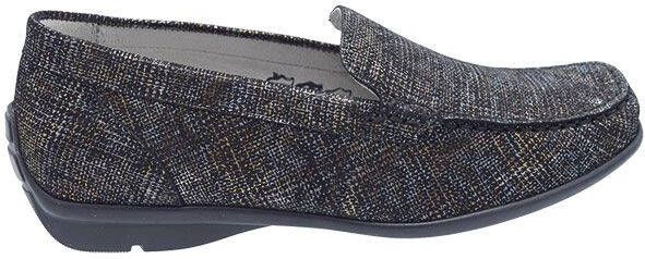 Waldlaufer Harriet H zwart