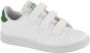 Adidas Advantage C Jongens Sneakers Ftwr White Green Grey Two F17 - Thumbnail 4