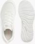 Skechers Witte Sole Provider Brief History - Thumbnail 6