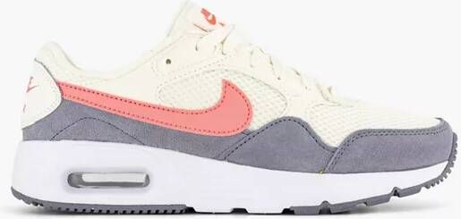 Nike Grijze Air Max