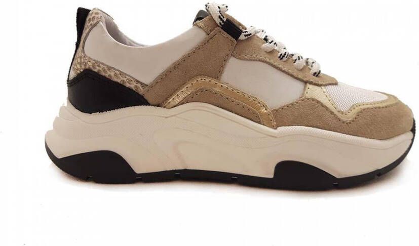 Gattino Beige Sneakers