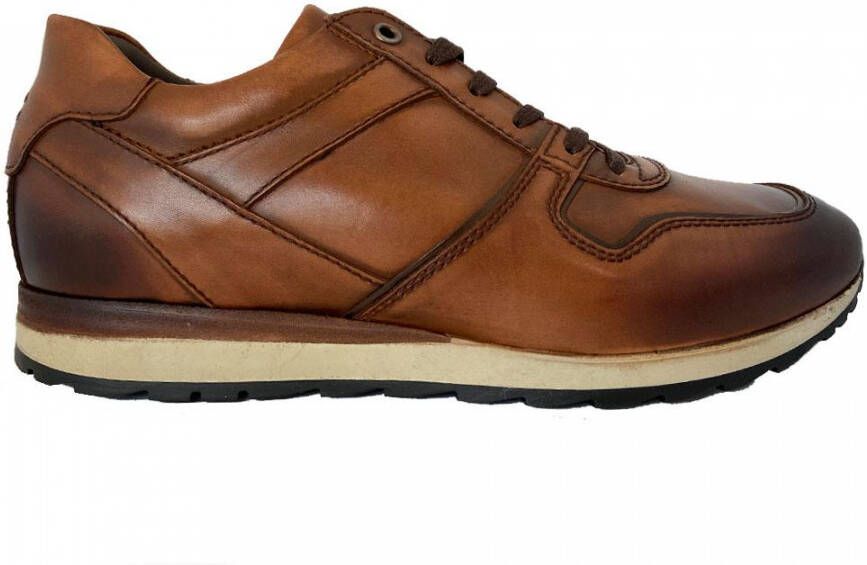 Greve Bruine Sneakers Fury Mogano Corsaro