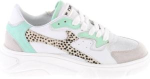 Hip Witte Veterschoenen