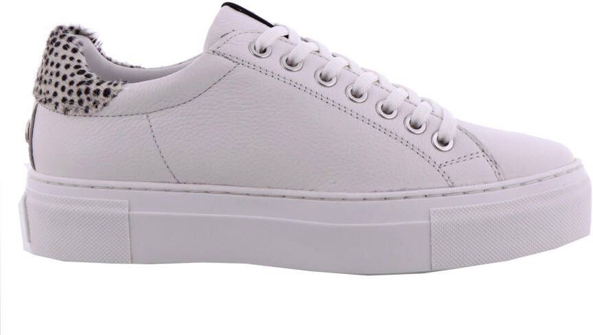 Maruti Witte Veterschoenen Ted Leather