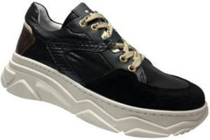 Piedro Zwarte Sneakers