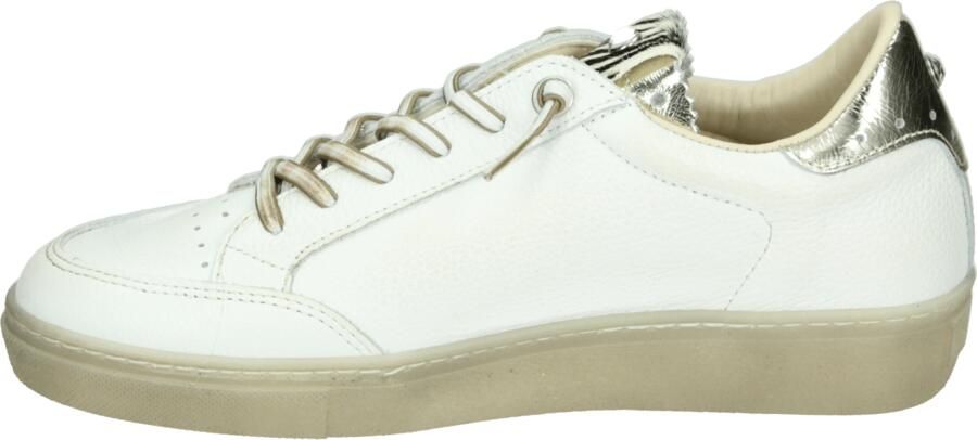 Cetti C-1320 SRA Dames sneakers - Foto 4