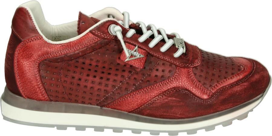 Cetti C-848 EXP Heren sneakers