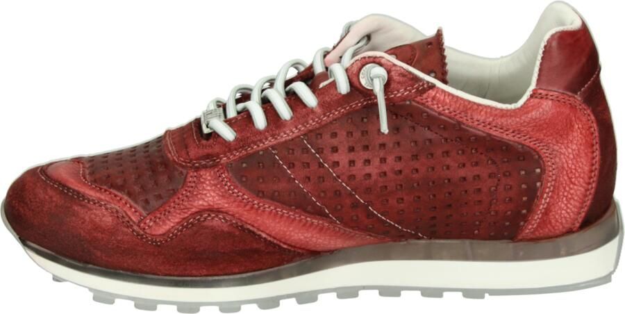 Cetti C-848 EXP Heren sneakers - Foto 4