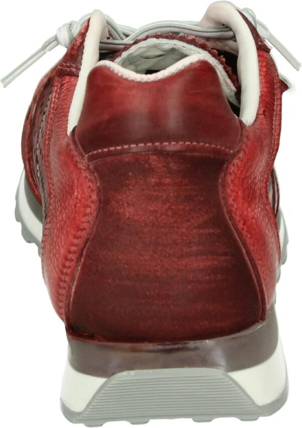 Cetti C-848 EXP Heren sneakers - Foto 2
