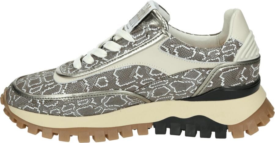 Floris van Bommel DAMES SNEAKERS SFW-10131-20-01 GROMMI 02.13-BROWN-G - Foto 8
