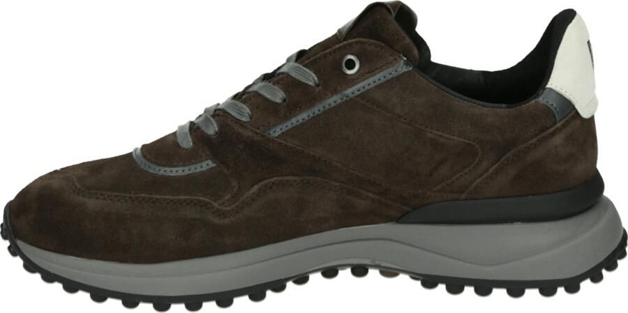 Floris van Bommel NOPPI 29.70 Lage sneakersVrije tijdsschoenen Heren sneakers Bruin - Foto 9